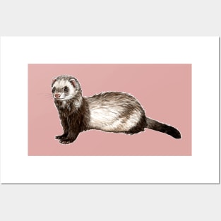 Ferret Posters and Art